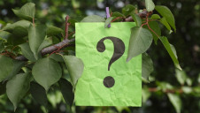 A growing number of businesses are turning to natural capital accounting to underpin their sustainability strategy, but is it the right approach to take?